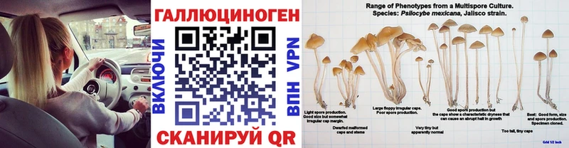 Псилоцибиновые грибы мицелий  Кодинск 